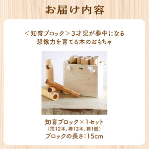＜知育ブロック＞３才児が夢中になる　想像力を育てる木のおもちゃ 知育玩具 知育ブロック 木のおもちゃ 幼児教育 想像力 集中力 ハンドメイド 安心 安全 きょうだいで遊べる 3歳 誕生日 お祝い 003-02