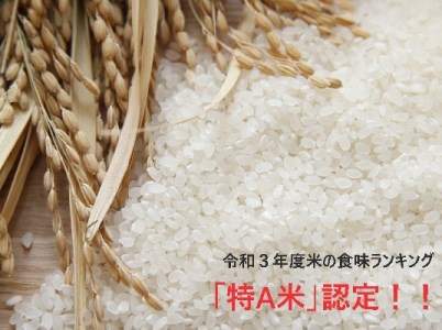 京都産＞特別栽培米やましろの恵み（ヒノヒカリ）１０ｋｇ