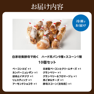 ハード系パン9種＋スコーン1種セット！ 自家培養酵母で焼くハード系パン 合計10点 国産小麦で作るハード系パン 自家製酵母のハード系パン 朝食 軽食 おやつ 自然素材「Boulangerie Faveur」京都府 木津川市 065-04