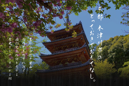 専門店のとり肉を京野菜と共に【中目黒】で味わうペアリング4杯付き2名様焼鳥コースお食事券 064-10