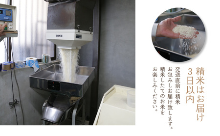 【定期便4か月】お米60kg（15kg×4回）特別栽培米 ひのひかり 053-32