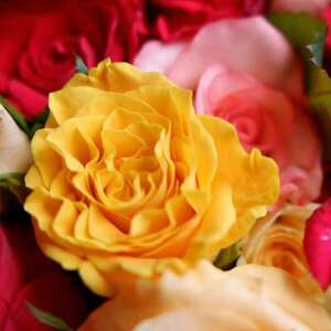 【バラ専門生産者直送】バラの花束(色とりどり26～28本)【配送不可地域：離島・沖縄県】【1607421】