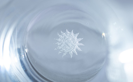 蘭文バビーグラス　ペア【配送不可地域：離島・沖縄県】【1204490】