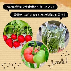 【訳アリ】 季節の野菜 詰め合わせ 6～10種 京都_野菜   _【1568064】
