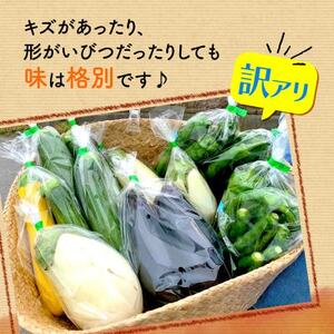 【訳アリ】 季節の野菜 詰め合わせ 6～10種 京都_野菜   _【1568064】