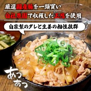 自家製生姜焼き丼の具150g×4食分_肉 豚肉 _【配送不可地域:離島】【1592954】