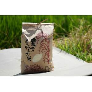 【期間限定】令和7年産 米 ひとめぼれ 5kg 京都府久御山町【1658242】