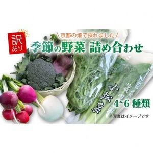 訳あり 季節の野菜セット4~6品詰め合わせ【1613720】