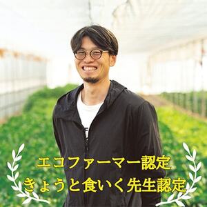 訳あり 季節の野菜セット4~6品詰め合わせ【1613720】