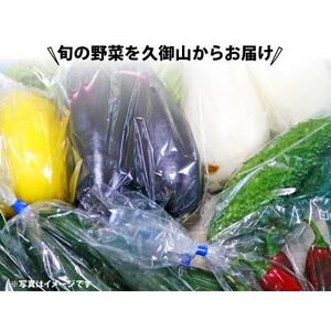 京都 朝採れ 冬野菜セット 6～8種【配送不可地域：離島】【1669703】