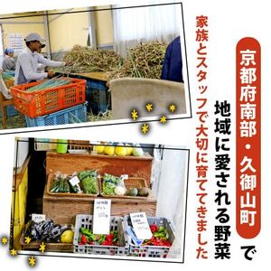 京都 朝採れ 冬野菜セット 6～8種【配送不可地域：離島】【1669703】