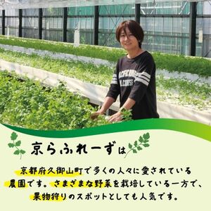 パクチー300g【配送不可地域:離島・北海道・沖縄県】【1688760】