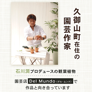 シノブ盆栽＆抹茶クッキーセット_菓子・スイーツ クッキー    花・観葉植物 盆栽  _【配送不可地域：北海道・東北】【1047274】