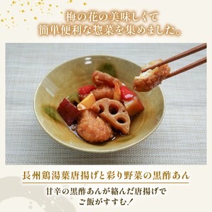 お惣菜3種セット 冷凍 唐揚げ ハンバーグ 豆腐 梅の花【 惣菜 】  【218】