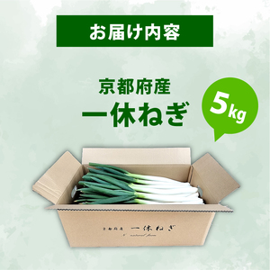 京都府産 一休ねぎ 5kg 白ネギ 葱