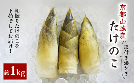 【先行予約】京都山城産たけのこ 皮付き湯がき済み 約1kg(2～3本)  2026年4月発送 たけのこ