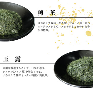 【宇治茶】煎茶・玉露 2本セット 宇治茶【007】