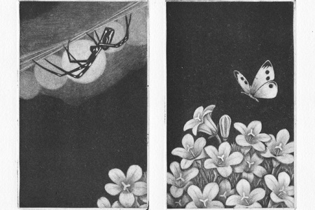 銅版画　～蝶と蜘蛛～　（額縁入り）【142】