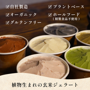 【ジェラート】玄米ジェラート12個 ヴィーガン アイス グルテンフリー【175】