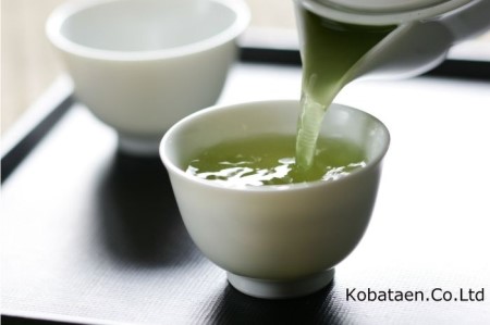 京の老舗古畑園　匠の逸品(手摘み玉露4g×12個）〈高級 匠 お茶 茶 緑茶 手摘み 茶葉 玉露 一煎パック 高品質 老舗 桐箱〉 飲料類 飲料 