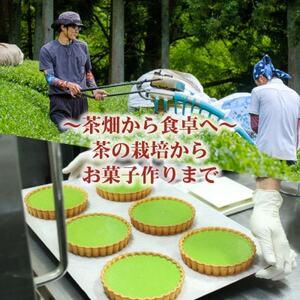 和束産栽培茶の濃厚抹茶チーズケーキ【配送不可地域:離島】【1295665】