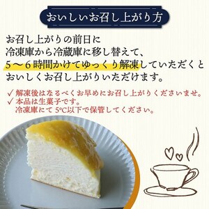 幸せの黄色いチーズ (オレンジソース) 1台【配送不可地域:離島】【1559460】