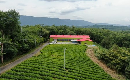 【体験期間：6月末まで】村内の茶畑で茶摘み＆手もみ製茶体験！（大人ペアチケット）
