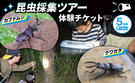 NHKテレビで取り上げられました！先行予約【体験期間 2026年6月～8月中旬】虫捕り名人と行く「昆虫採集ツアー」ご利用券(5名様・車1台まで)他グループと同行有 昆虫 カブトムシ クワガタ 夏休み 親子 京都 南山城村