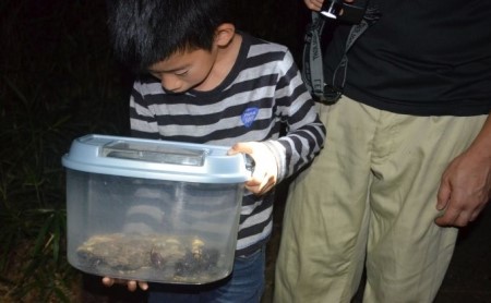 NHKテレビで取り上げられました！先行予約【体験期間 2026年6月～8月中旬】虫捕り名人と行く「昆虫採集ツアー」ご利用券(5名様・車1台まで)他グループと同行有 昆虫 カブトムシ クワガタ 夏休み 親子 京都 南山城村