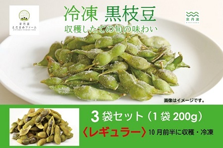 冷凍 丹波黒枝豆 レギュラー 600g（200g×3パック）　[010KY001]