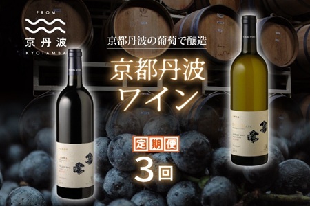 【3回定期便】丹波ワイン 3カ月 定期便