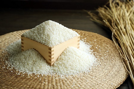 先行予約 》 こしひかり 京丹波町産 20kg 令和8年産 米 | 京都府京丹波