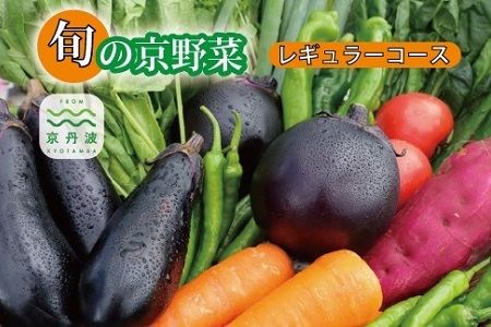 【京丹波の野菜】旬の京野菜セット　レギュラーコース【 野菜 野菜詰め合わせ 野菜セット 京野菜 】[011KH001]