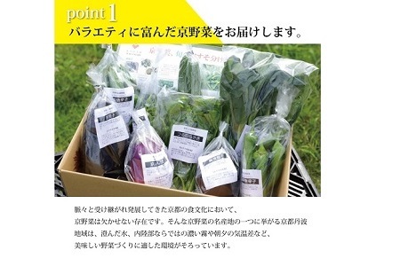 【京丹波の野菜】旬の京野菜セット　レギュラーコース【 野菜 野菜詰め合わせ 野菜セット 京野菜 】[011KH001]