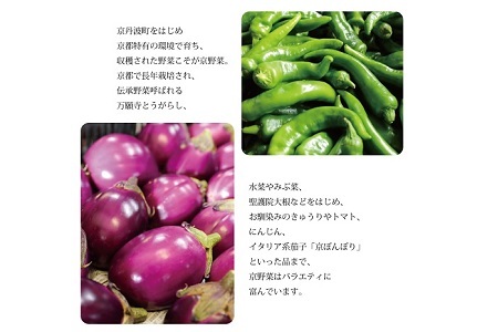 【京丹波の野菜】旬の京野菜セット　レギュラーコース【 野菜 野菜詰め合わせ 野菜セット 京野菜 】[011KH001]