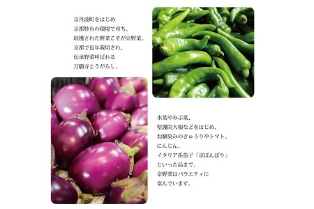 【京丹波の野菜】旬の京野菜セット スペシャルコース【 野菜 野菜詰め合わせ 野菜セット 京野菜 】 [015KH003]