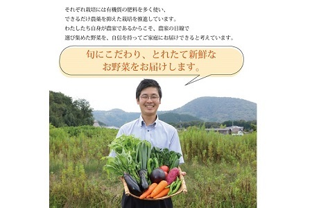 【京丹波の野菜】旬の京野菜セット スペシャルコース【 野菜 野菜詰め合わせ 野菜セット 京野菜 】 [015KH003]