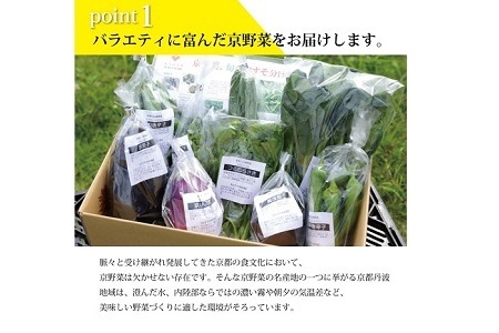 【野菜 3回 定期便】旬の京野菜セット　毎月お届けレギュラーコース（全3回【 野菜 野菜定期便 野菜詰め合わせ 野菜セット 京野菜 】） [033KH001R]