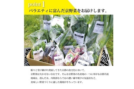 【野菜 3回 定期便】旬の京野菜セット　毎月お届けスペシャルコース（全3回）【 野菜 野菜定期便 野菜詰め合わせ 野菜セット 京野菜 】[045KH001R]