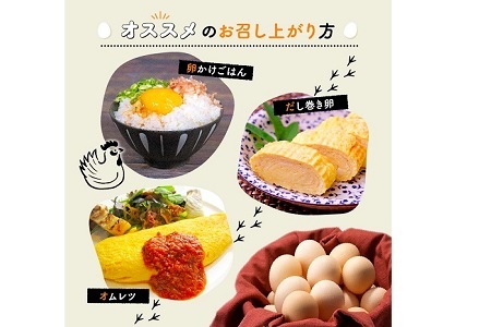 京丹波 こだわり卵 葉酸たまご 約 80個 5kg ※北海道・沖縄・その他離島は配送不可 [011MF002]