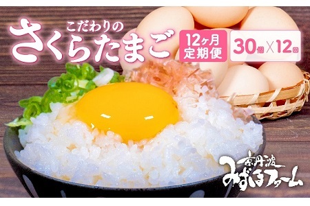 【12回定期便】 京丹波 こだわり卵 さくらたまご 30個 × 12ヶ月 【 卵 たまご 定期便 】[076MF001R]