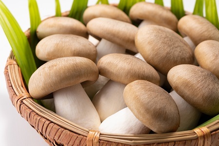 大黒本しめじ 丹波しめじ 詰め合わせ [010MK004]