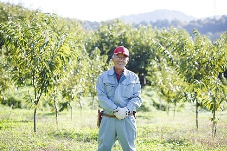 和知栗の渋皮煮 200g びん詰め 京都 丹波 京丹波 栗 くり 丹波栗 和栗 国産 丹波マロンファーム 栗の名匠 [015MR001]