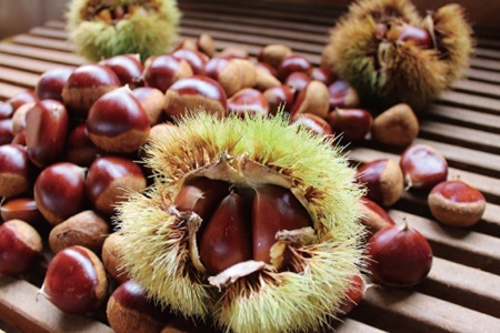 京丹波栗きんとん 140g  [011KKK001]