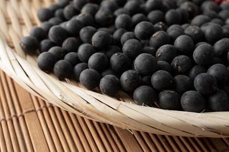 【 年内発送 】 丹波黒大豆 Lサイズ 300g お正月 おせち用 京都 京丹波町産 丹波黒豆 新豆 国産 お取り寄せ ご当地グルメ 生産者限定 令和7年産 L 生豆 大粒 ※北海道・沖縄・その他離島への配送不可 [007KK001L]