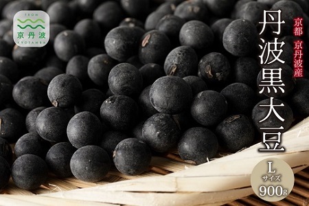 丹波黒大豆 Lサイズ 900g （300g×3袋） 黒大豆 黒豆