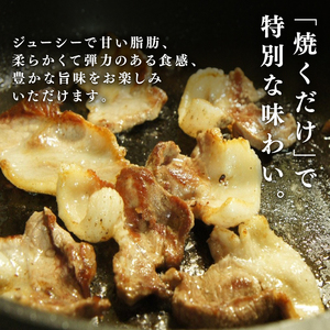 【3回定期便】  京丹波ぽーく プレミアム 切り落とし 1kg ×3カ月 合計3kg 3回 定期便 京都 京丹波町  国産 豚肉 デュロック種 京都ポーク ポーク オリジナル ブランド [042KT001R]