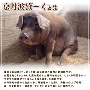 【3回定期便】  京丹波ぽーく プレミアム 切り落とし 1kg ×3カ月 合計3kg 3回 定期便 京都 京丹波町  国産 豚肉 デュロック種 京都ポーク ポーク オリジナル ブランド [042KT001R]