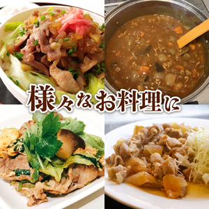 【3回定期便】  京丹波ぽーく プレミアム 切り落とし 1kg ×3カ月 合計3kg 3回 定期便 京都 京丹波町  国産 豚肉 デュロック種 京都ポーク ポーク オリジナル ブランド [042KT001R]
