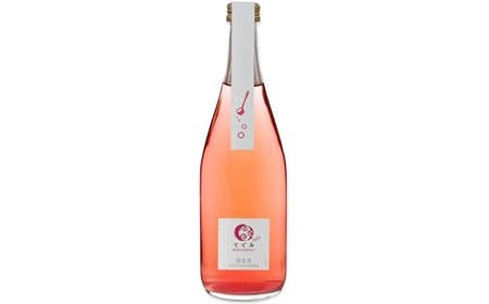 丹波ワイン スパークリングワイン 飲み比べ 4本セット  [020SJ001]